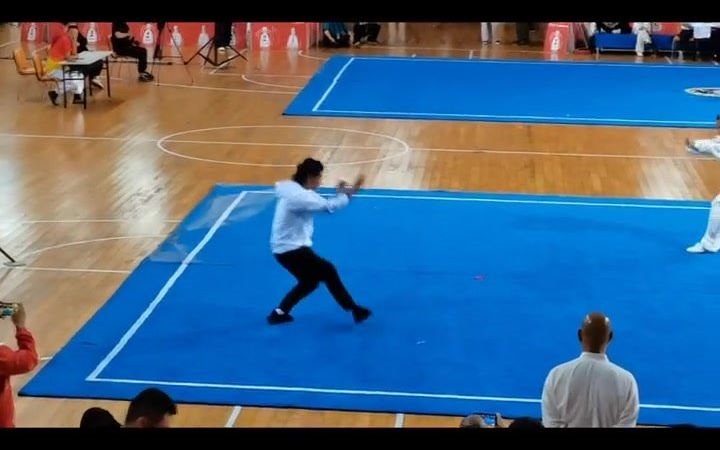 形意拳—五行连环拳哔哩哔哩bilibili