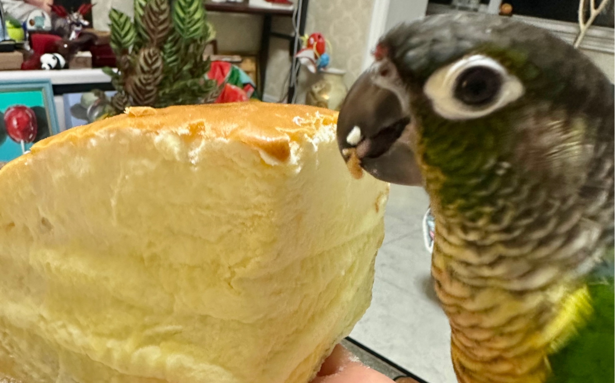 what delicious cheese bread! i love it!