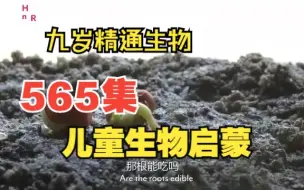 Download Video: 565集 儿童生物纪录片 儿童要上的第一节生物课 生物启蒙动画 九岁精通生物