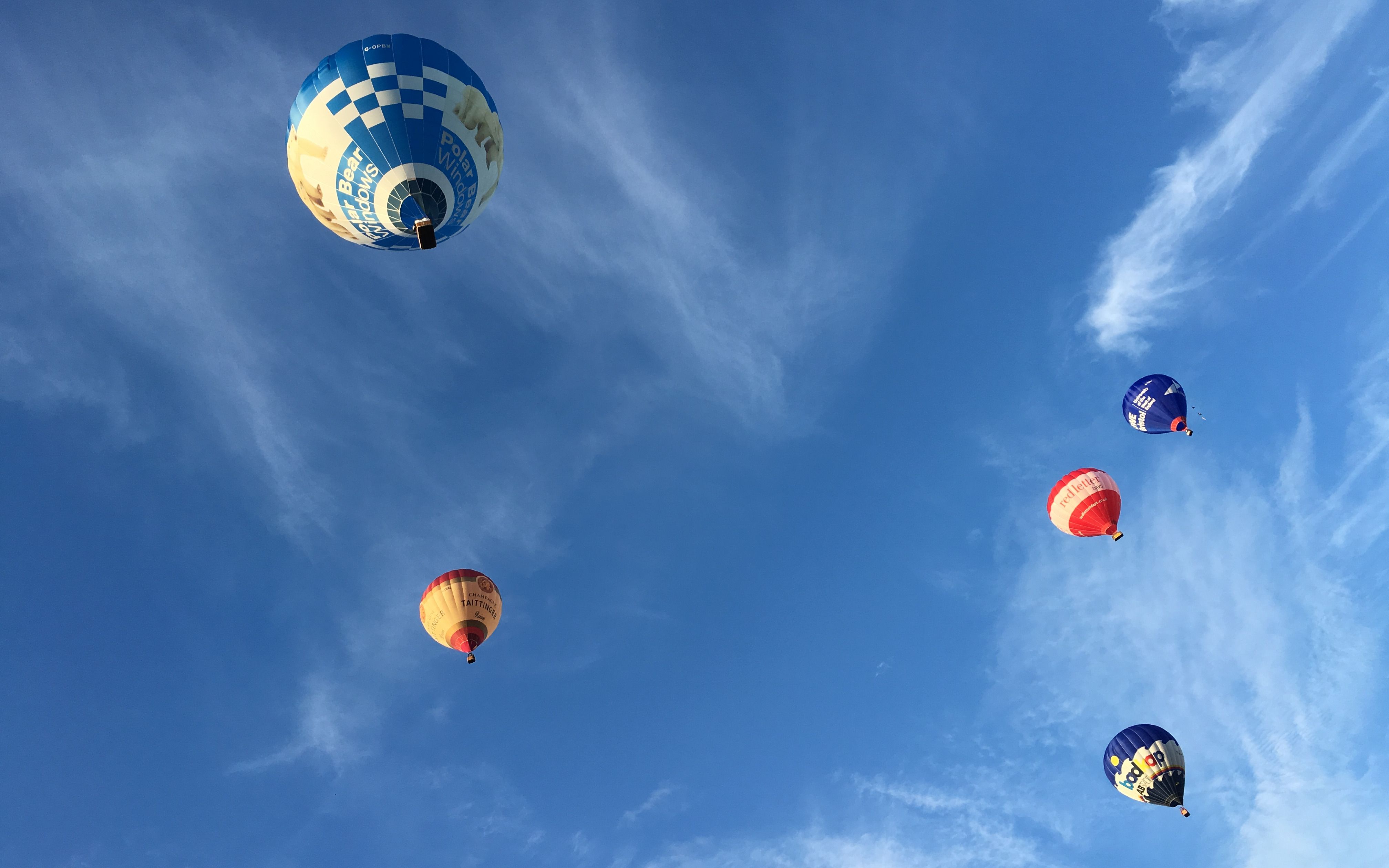 international balloon festival 非饭圈视频,自己备份日常