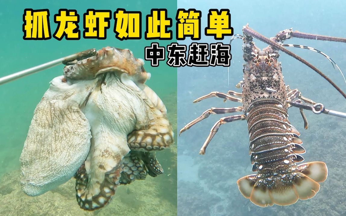 [图]《环球探海记》阿曼 第52天：今天在阿拉伯赶海，竟然又被我发现龙虾窝啦