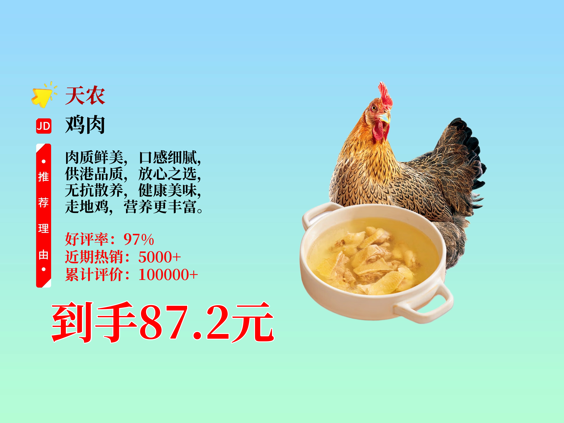 农村养鸡项目介绍(农村养鸡项目介绍怎么写)