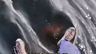 各种风的危险系数，最后一种风还能吃