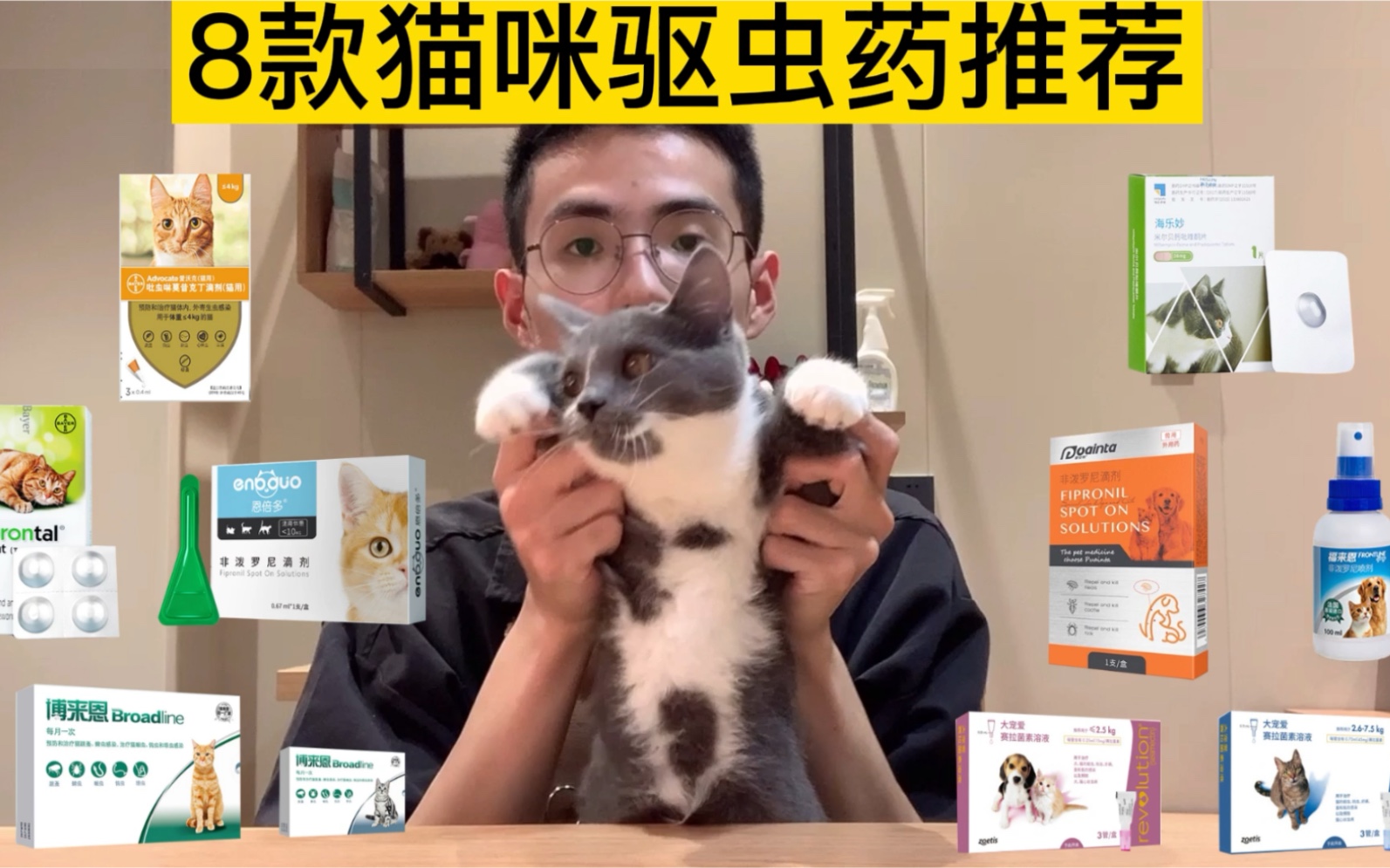 八款猫咪驱虫药推荐哔哩哔哩bilibili