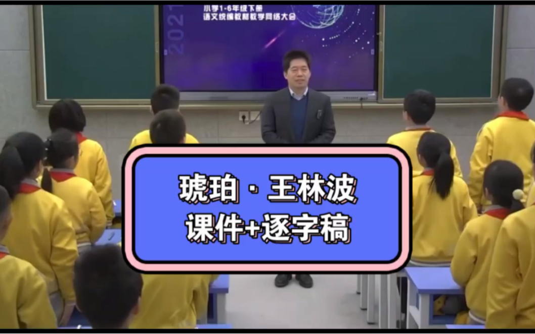 四年级下册小学语文公开课《琥珀》(课件+逐字稿)王林波,课堂实录.哔哩哔哩bilibili