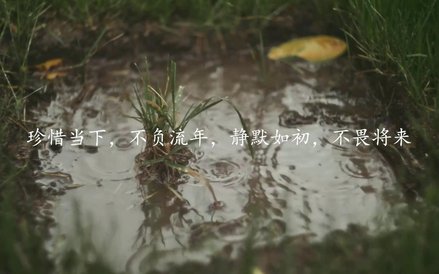 多少年后,我们在这个世界的痕迹将会被抹除?_哔哩哔哩_bilibili