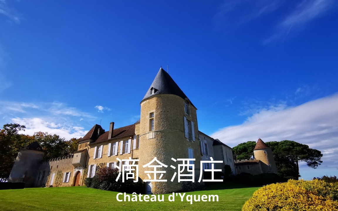 法国波尔多苏玳产区超一级庄“滴金酒庄” (Chateau d'Yquem) :这里的完美从“腐烂”的葡萄开始哔哩哔哩bilibili