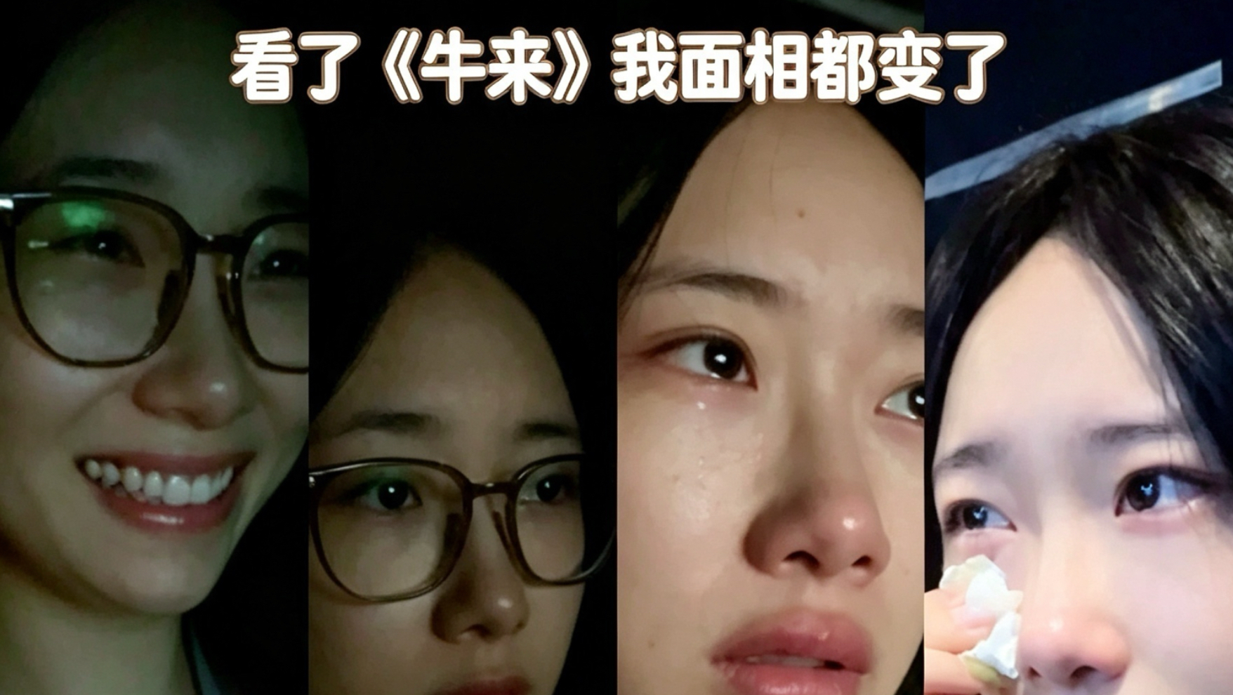 看完牛来哭了半个小时海报