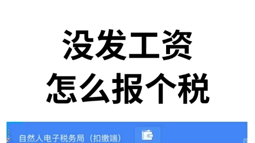 没发工资怎么报个税?哔哩哔哩bilibili