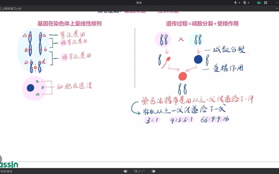 [图]声勿经典遗传学知识串讲