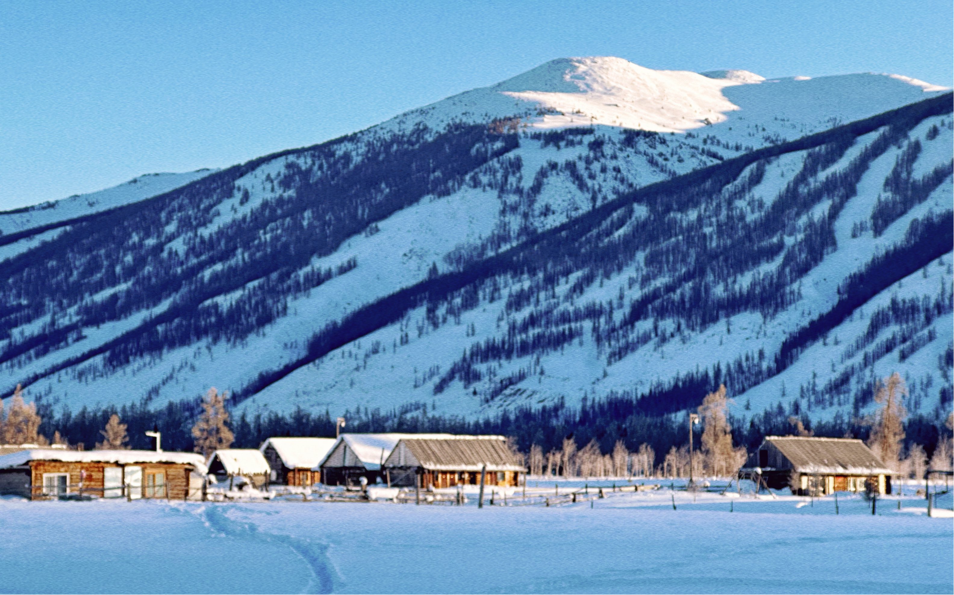 阿勒泰的雪,邂逅一场新疆的冬日童话.