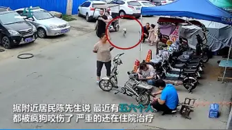 Download Video: 大妈路边遭疯狗毫无征兆撕咬 旁边修车大叔出手了