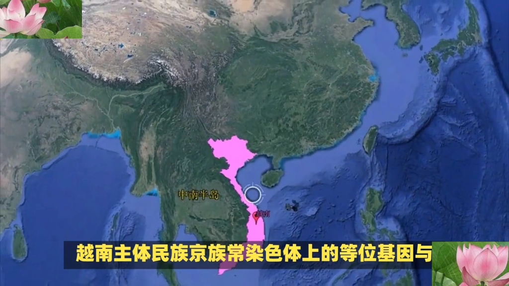 越南人的祖先居然是中国人