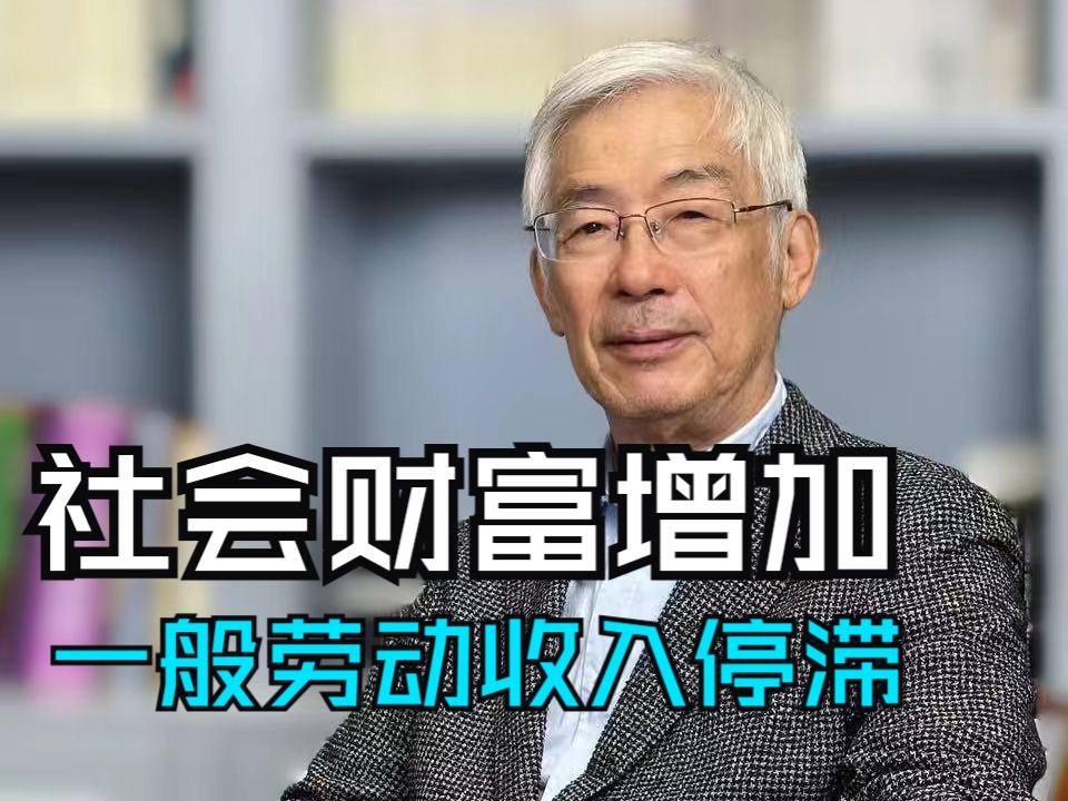 社会财富不断增加与一般劳动者收入停滞之间的现状哔哩哔哩bilibili