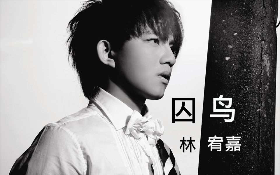 【AI 林宥嘉】囚鸟 cover 张宇哔哩哔哩bilibili