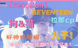 下载视频: 【SEVENTEEN的reaction】有两个小女孩美的太超过了｜到底是猫还是狗？｜儿子女儿妈妈姐姐我都要！｜我又在拉郎cp了