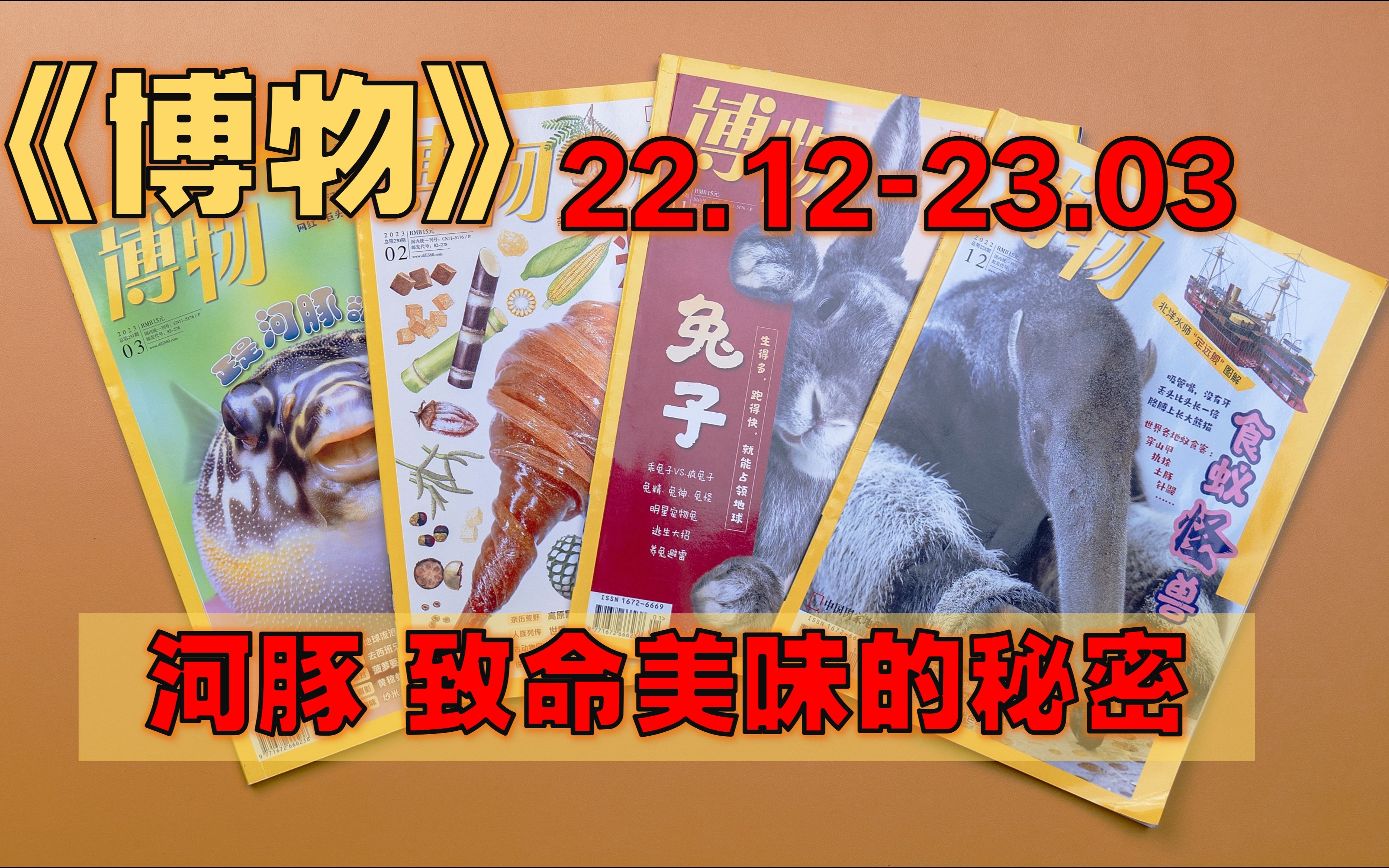 【月刊】《博物》 22年12月23年1/2/3月  世界各地的食蚁“怪兽”/ 兔子的繁殖大业/ 《格林童话》:从德国“聊斋”,到童话之源/ 糖:幸福感的魔法哔哩...