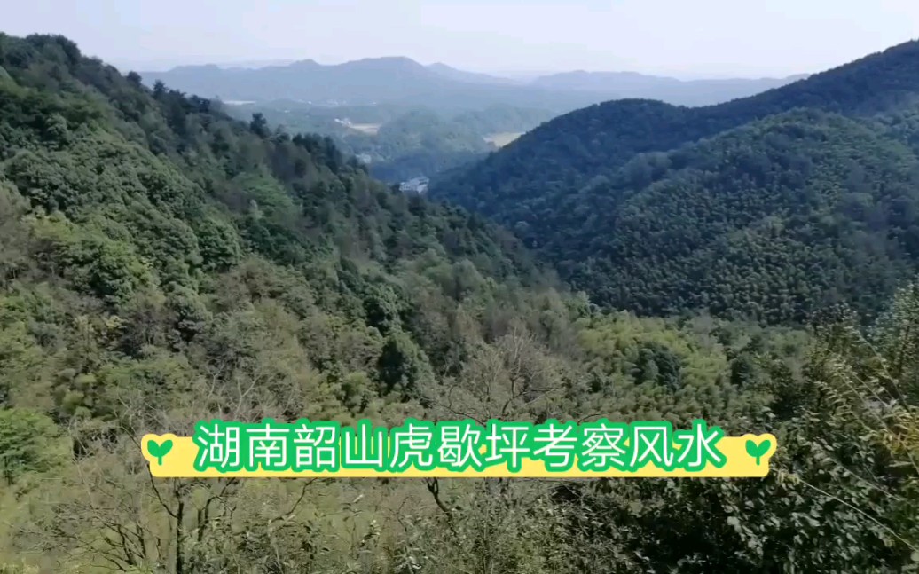 [图]朱科顺 湖南韶山虎歇坪考察风水 白虎挂印龙带曜星