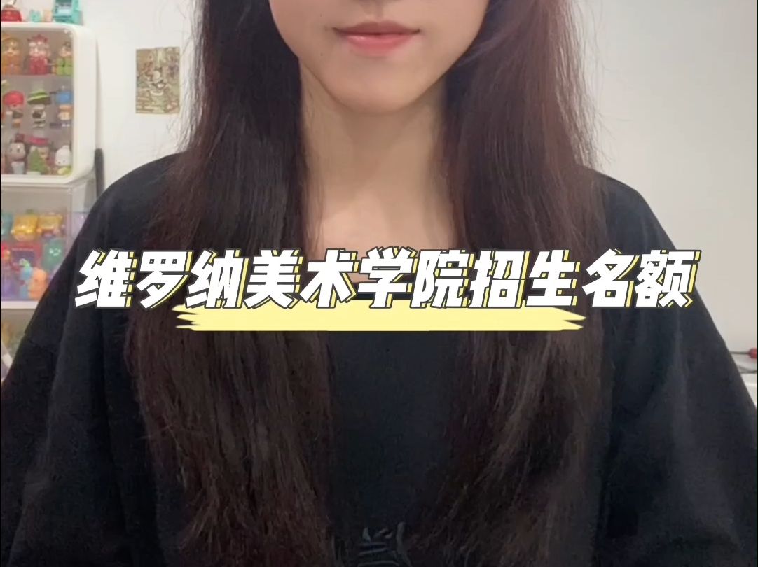 意大利维罗纳美术学院招生名额!