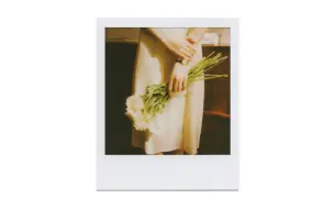 Télécharger la video: 宝丽来 I 最近拍了一些宝丽来（Polaroid Now）