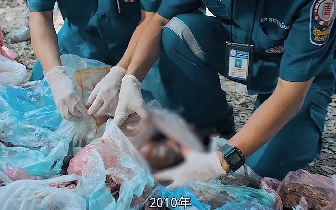 《婴尸》 泰国惊天大案改编的恐怖片 #电影解说