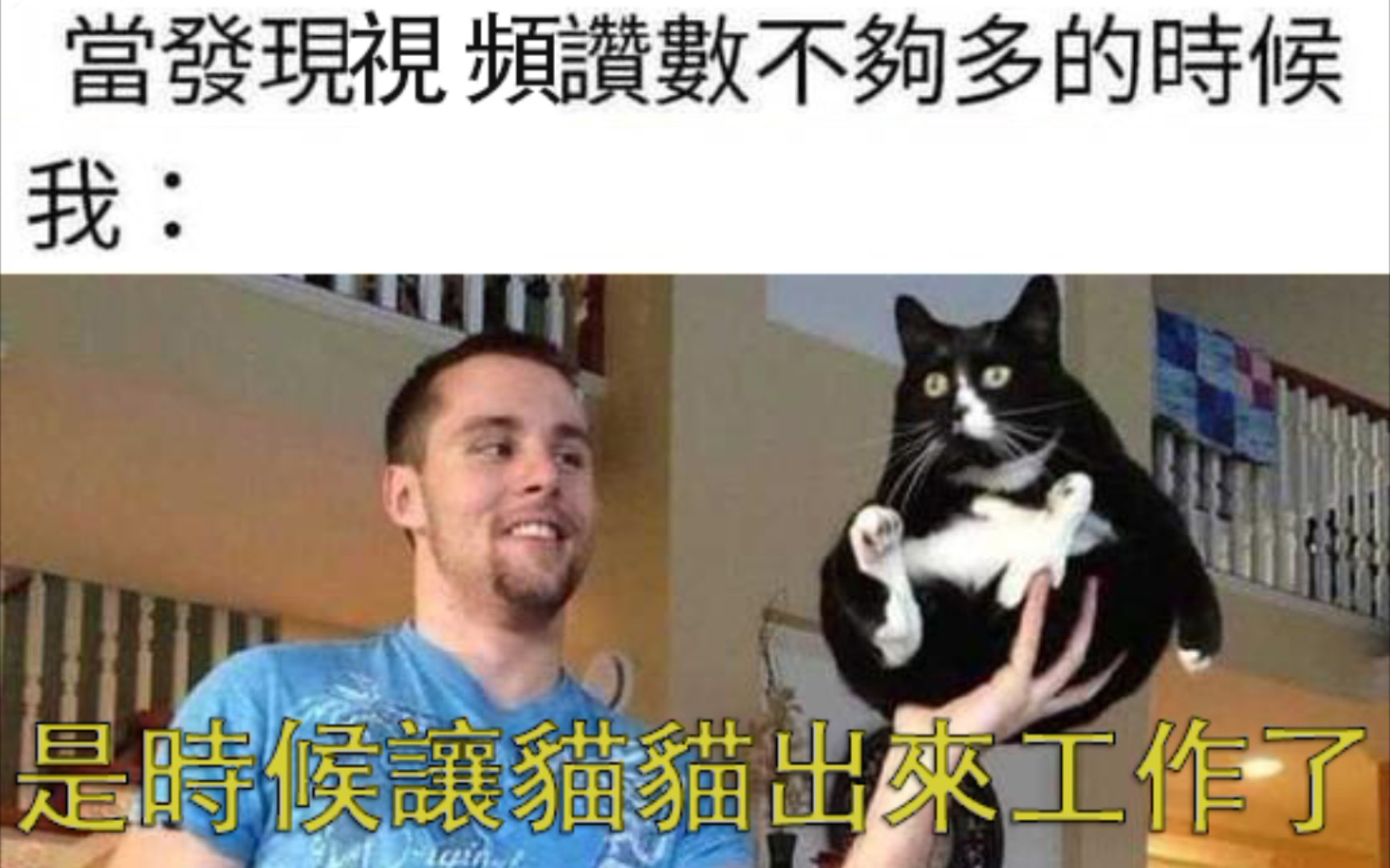 来点猫猫笑话【每日沙雕图35】哔哩哔哩bilibili