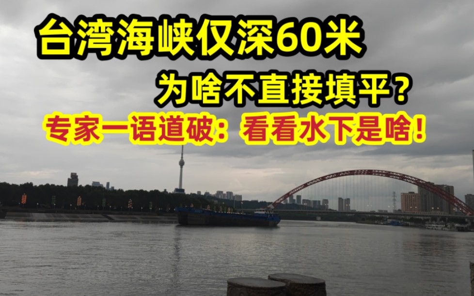 台湾海峡仅深60米,为啥不填平?专家一语道破:看看水下是啥!哔哩哔哩bilibili