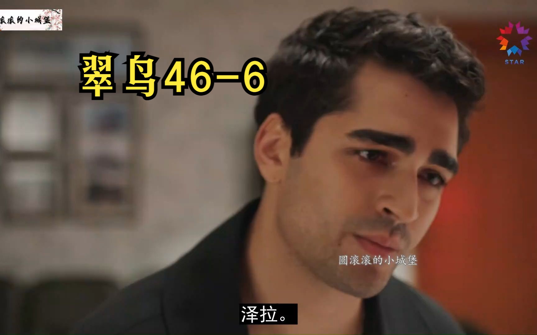 【第46集中字】土耳其剧:翠鸟第二季 46-6