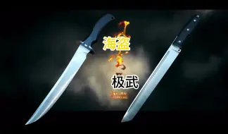 Download Video: 疯狗海盗已无，极端武力排障还有（老片新发）