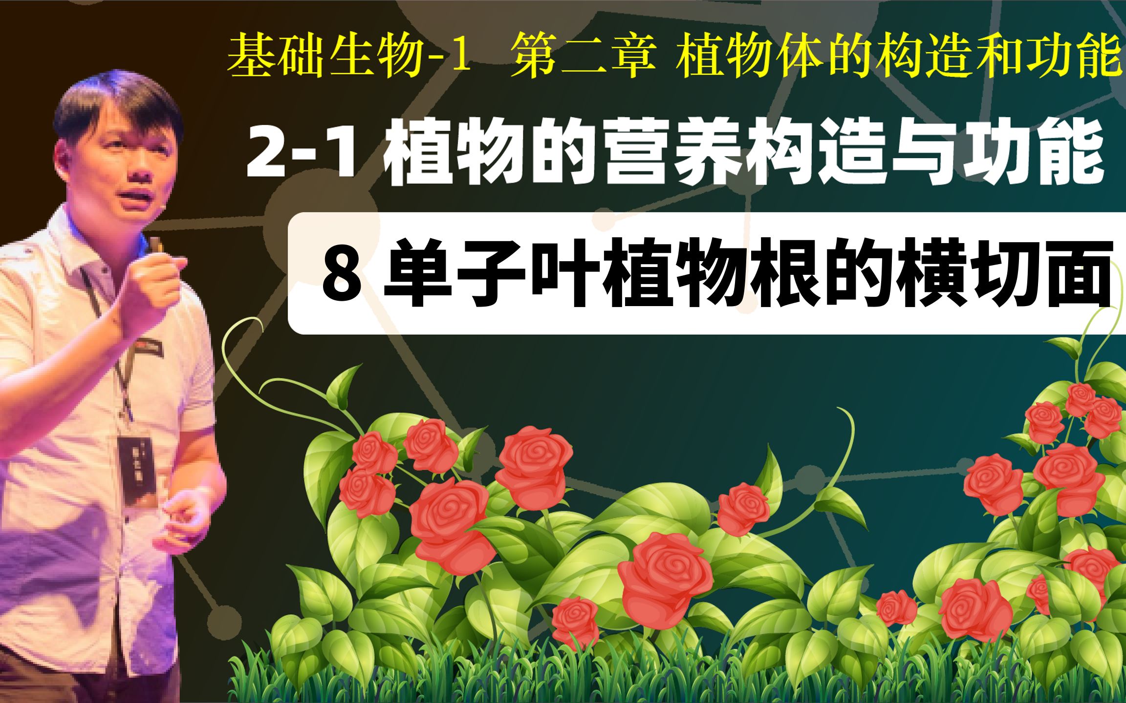 基础生物学 21.8 单子叶植物的根的横切面哔哩哔哩bilibili