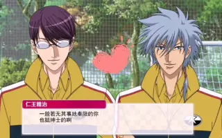 仁王雅治柳生比吕士 哔哩哔哩 Bilibili