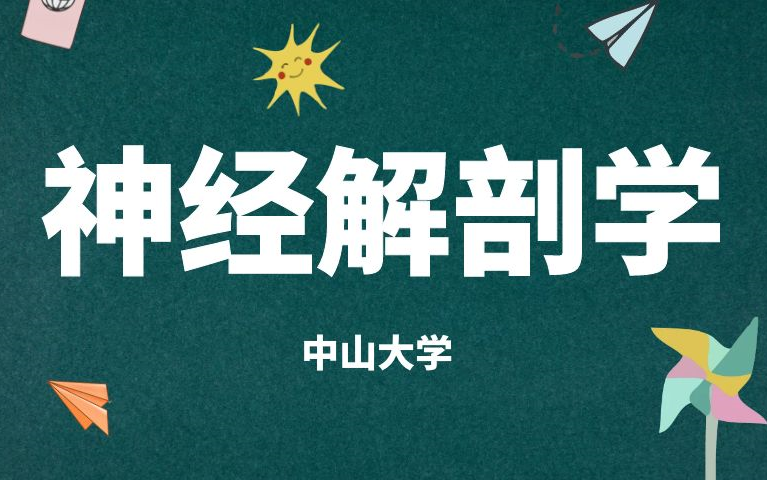 [图]《神经解剖学》系列课程30讲完整版-来听老师深入浅出地讲解，看完包会！