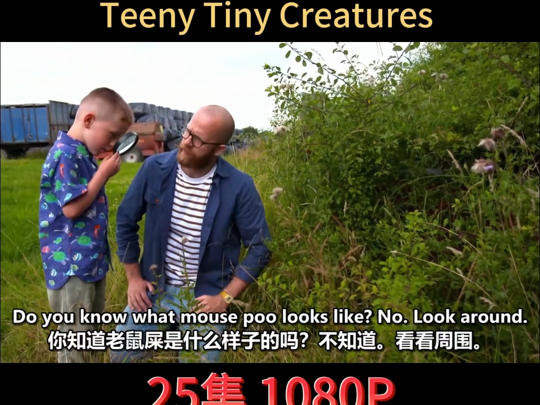 [图]少儿昆虫科普节目 Teeny Tiny Creatures  英文字幕/双语字幕 少儿早教视频 英语启蒙 儿童剧 BBC儿童频道