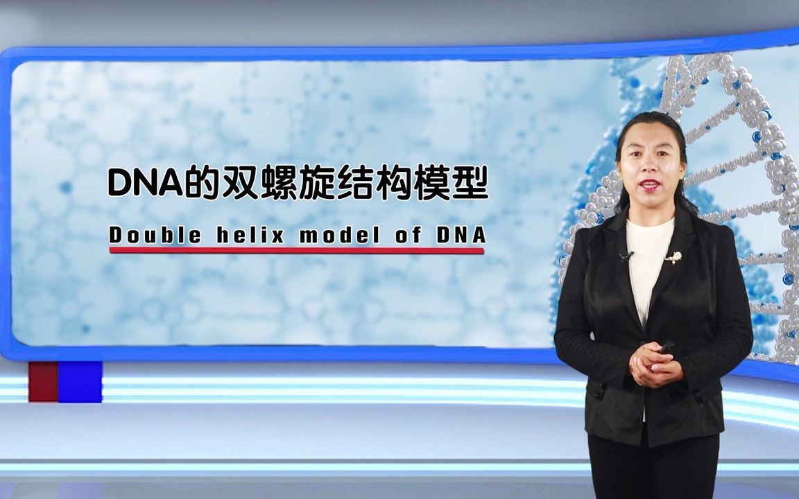 DNA的双螺旋结构哔哩哔哩bilibili