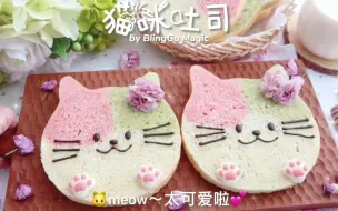 Download Video: 风靡日本的猫咪吐司来啦，一上架立即售罄~