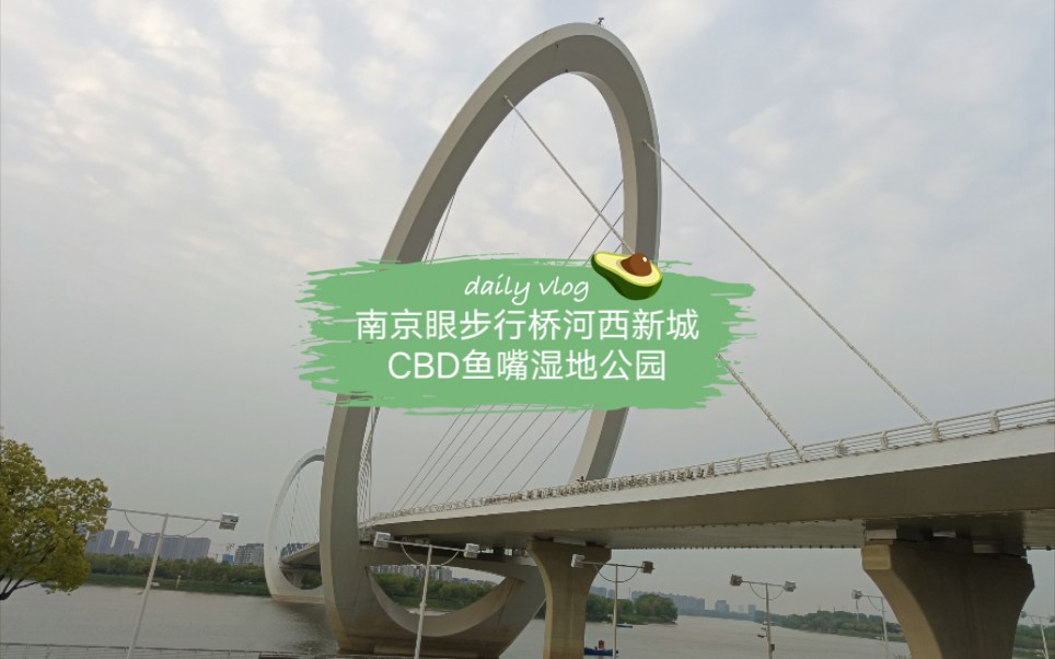 南京建业南京眼步行桥河西新城cbd鱼嘴湿地公园