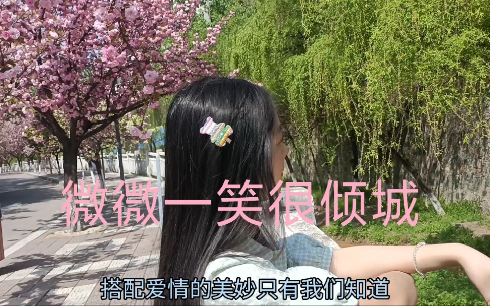 微微一笑很倾城哔哩哔哩bilibili