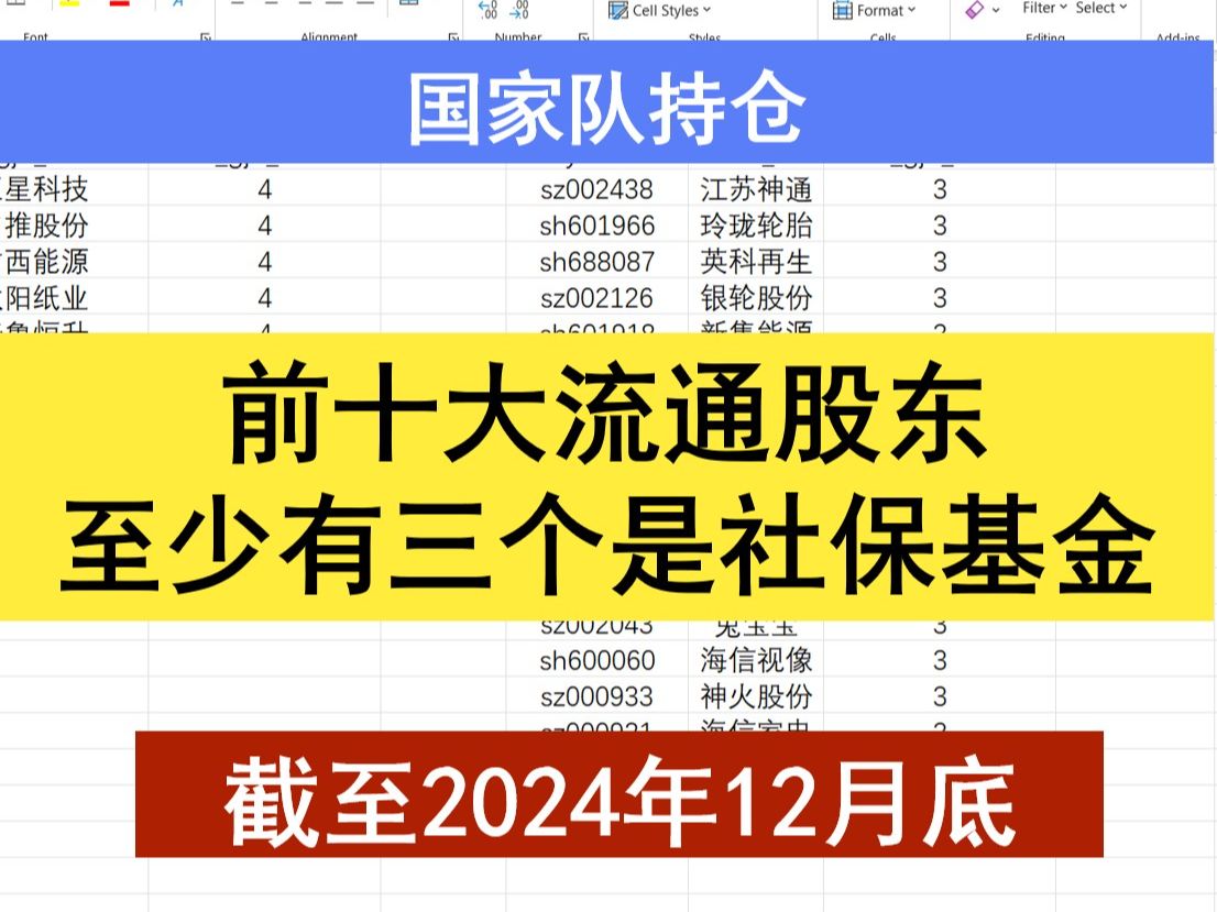 【基本面】社保基金在十大流通股东里至少占三个,截至2024年12月底哔哩哔哩bilibili