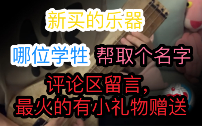 大怨种新买的乐器,不知道叫什么名字.希望各位学牲和琴兽给取个名字,名字点赞最多的赠送小礼品.参与的给up点点关注哔哩哔哩bilibili