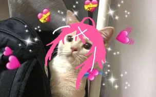 Arb 练手纪念 月光陰 Moonlight Shadow A Part Expert 哔哩哔哩 つロ干杯 Bilibili