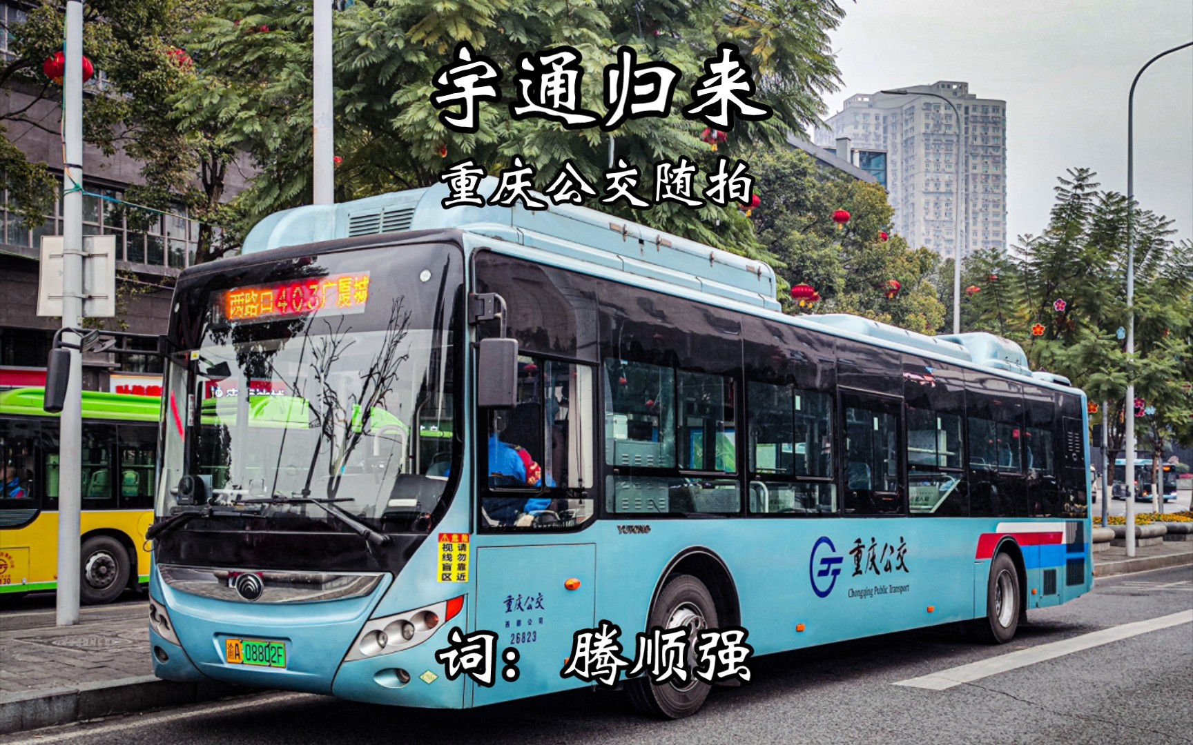 重庆公交宇通客车随拍合集(bgm: 宇通归来-腾顺强)