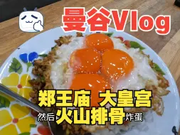 Download Video: 曼谷vlog | Day 2 大皇宫 卧佛寺 郑王庙 芒果糯米饭 火山排骨 乔德夜市