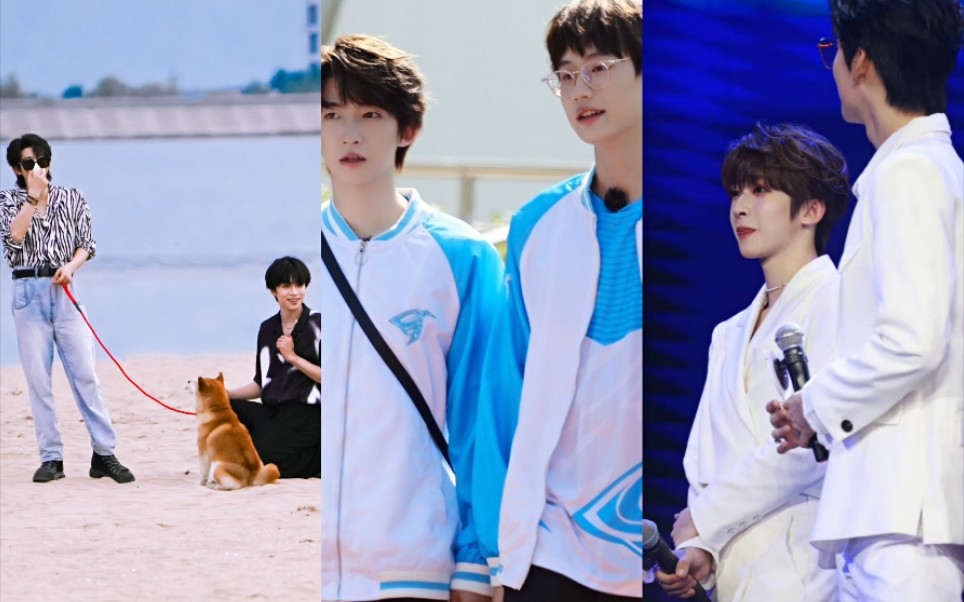 活动作品all宇reaction