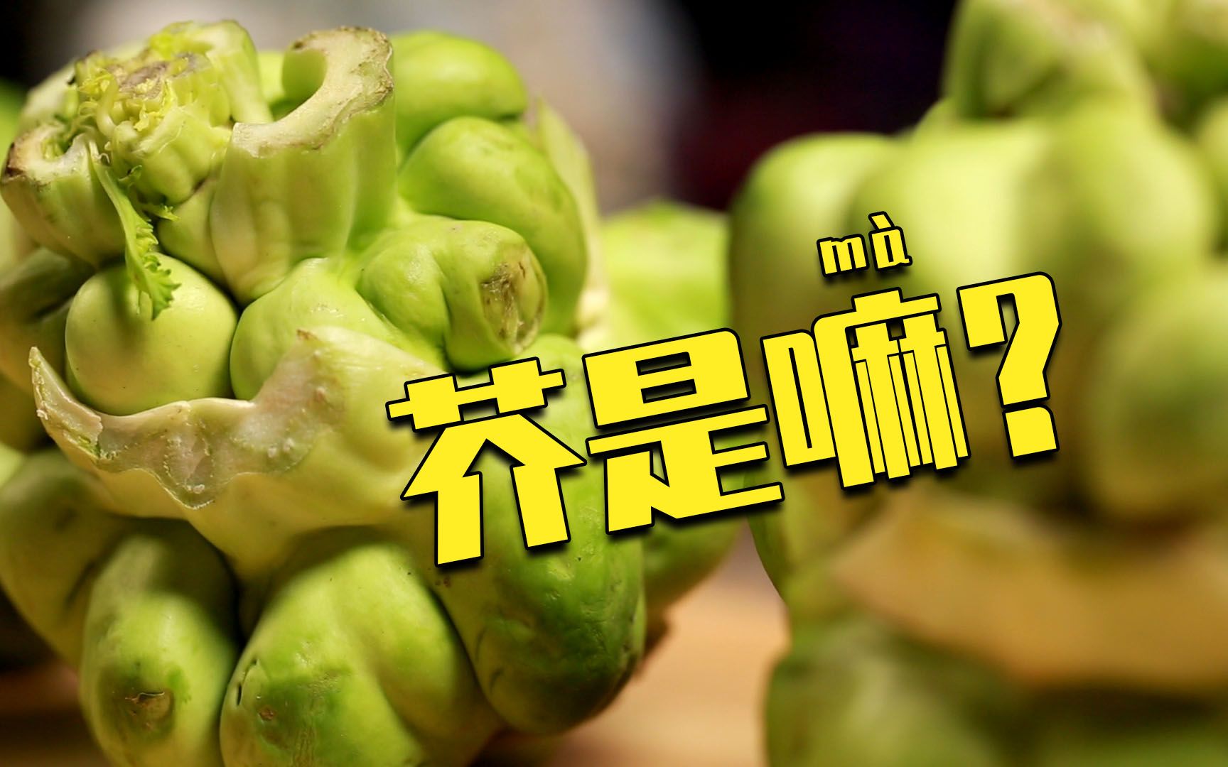 金芥菜的功效与作用(金芥菜功效大揭秘,快来了解)