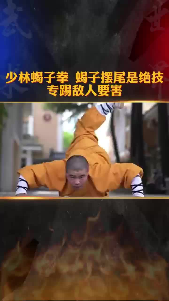 少林蝎子拳 蝎子摆尾是绝技 专踢敌人要害哔哩哔哩bilibili