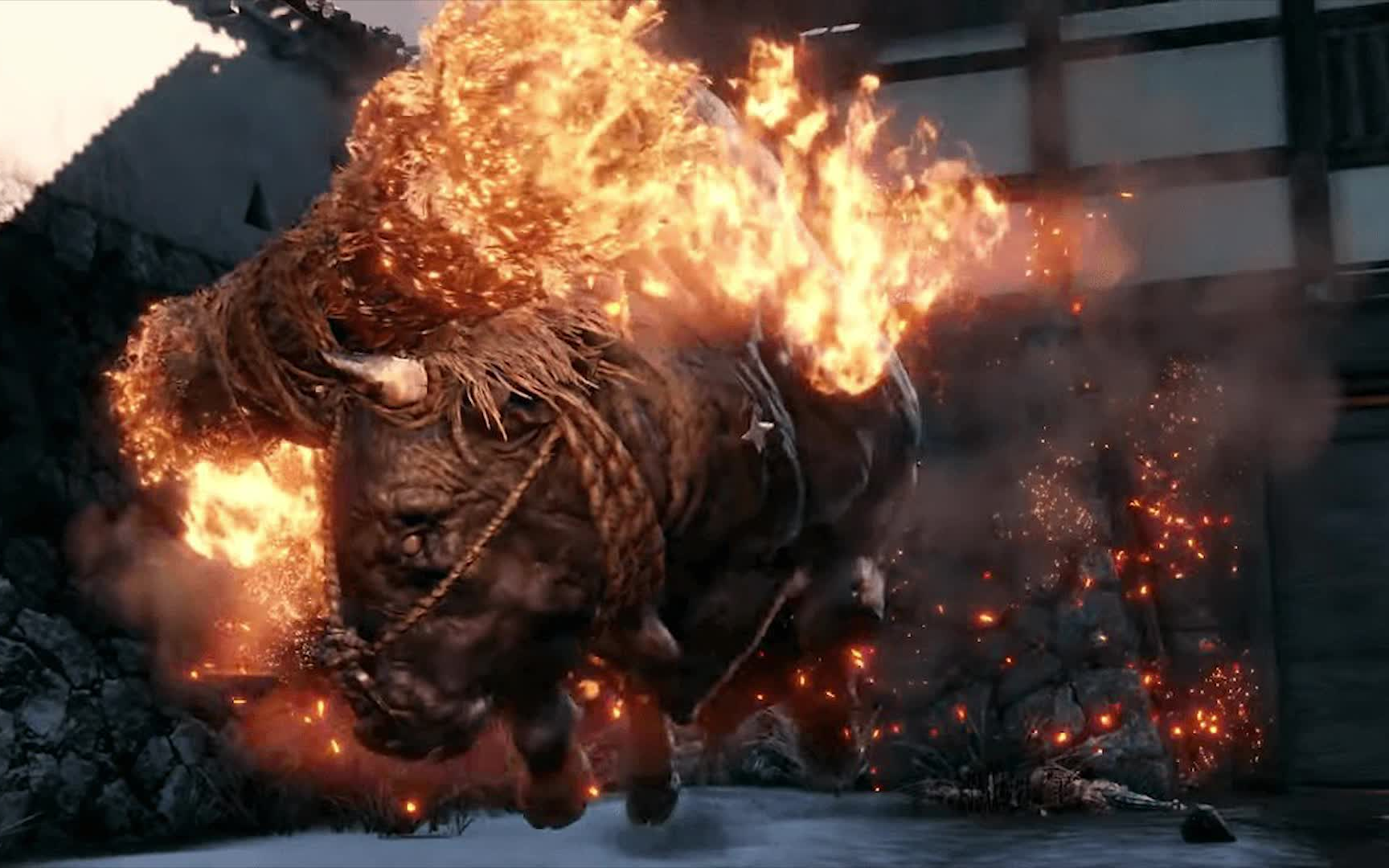 只狼 火牛(好凶悍的野兽)