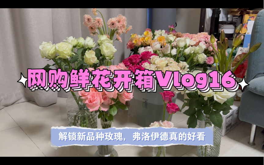 网购鲜花开箱Vlog16|解锁玫瑰新品种,风尚米兰哪家强哔哩哔哩bilibili