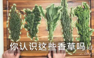 Video herunterladen: 【识别香草】带你认识西餐中常用的五种香草