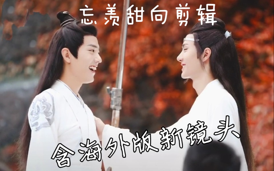 【忘羡】魏无羡蓝忘机甜向剪辑(素材来自陈情令海外版 有新镜头哦)