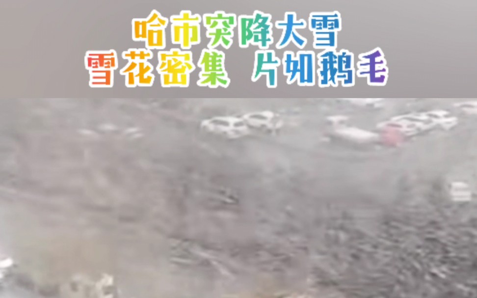 #记录中国2022 哈尔滨突降大雪,雪花密集,片如鹅毛!向坚守一线的防疫工作人员和志愿者们致敬!哔哩哔哩bilibili